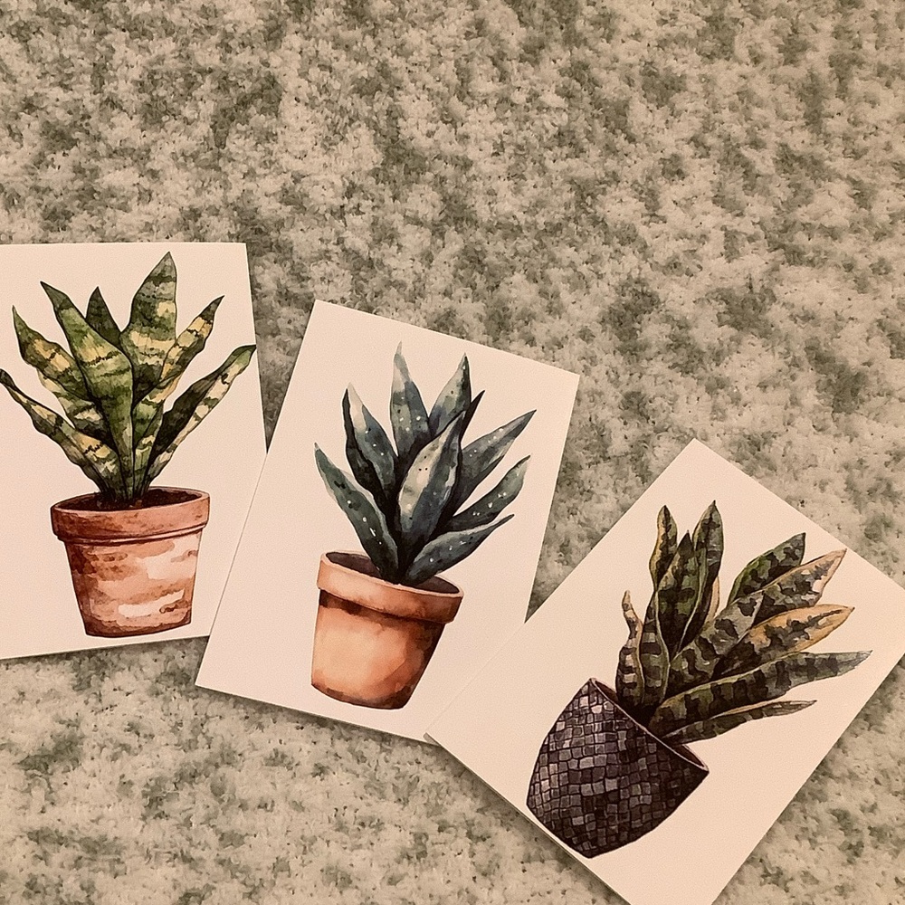 Green Plants Watercolor Variety Note Cards Set of Six NWT 4.25x5.5” - Picture 8 of 13